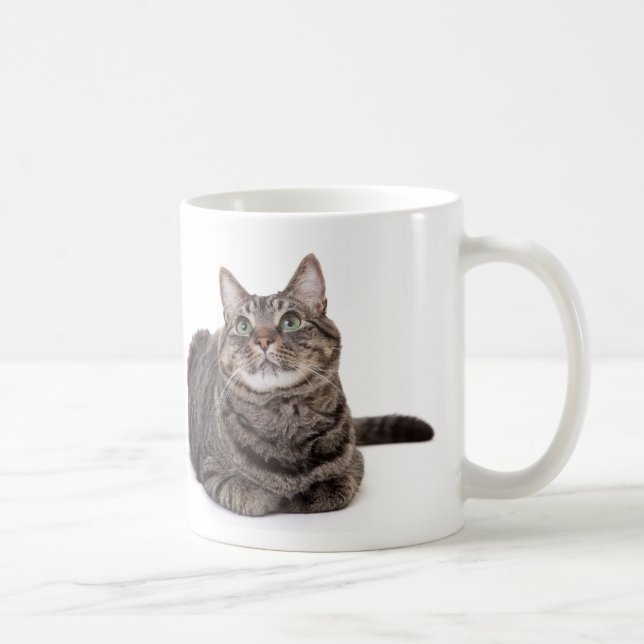 Grått Tabby katt Kaffemugg (Höger)