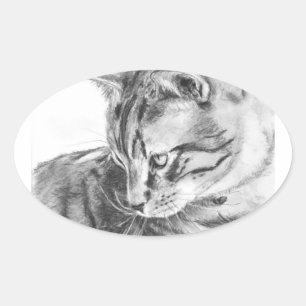 Grått Tabby katt Sketchad i träkol Ovalt Klistermärke