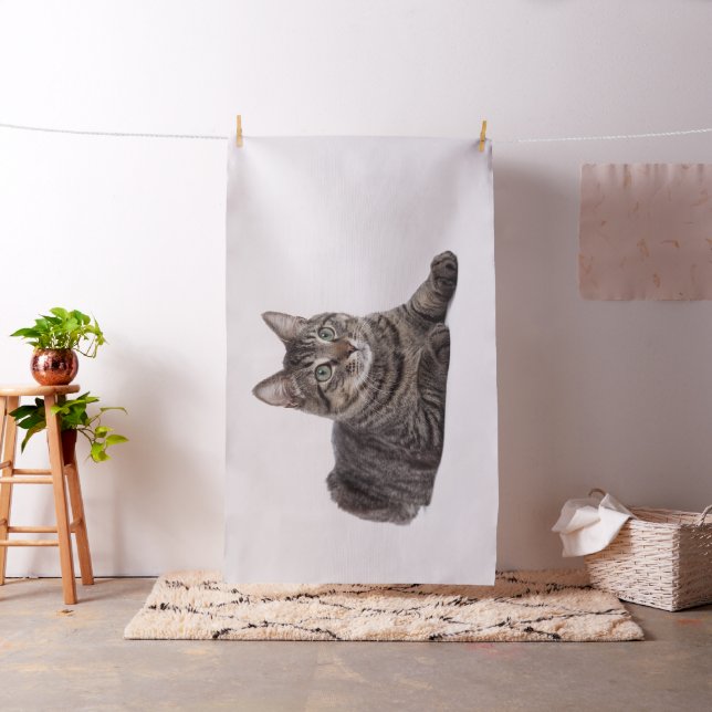 Grått Tabby katt Tyg (In Situ)