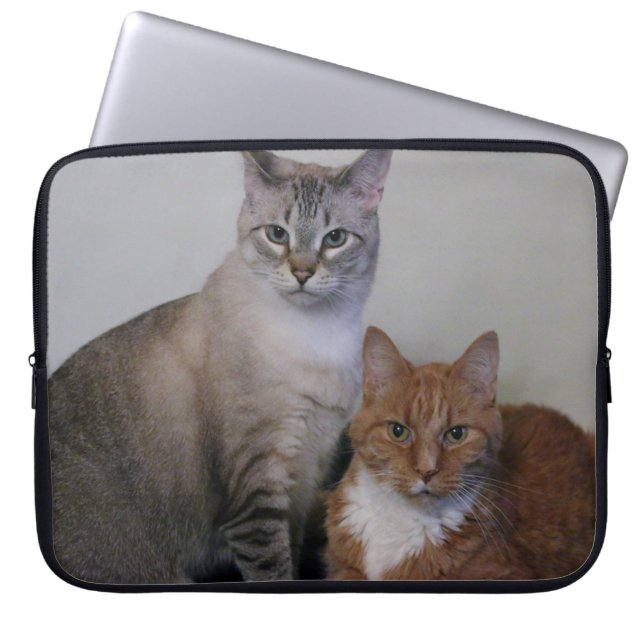 Grått Tabby och Orange Tabby katt Laptop Fodral (Framsidan)
