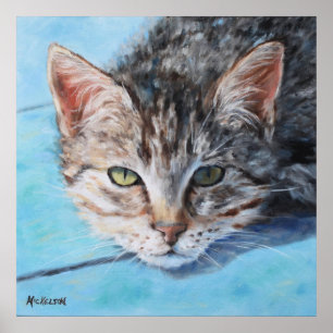 Grått Tan Tabby katt Porträtt Poster