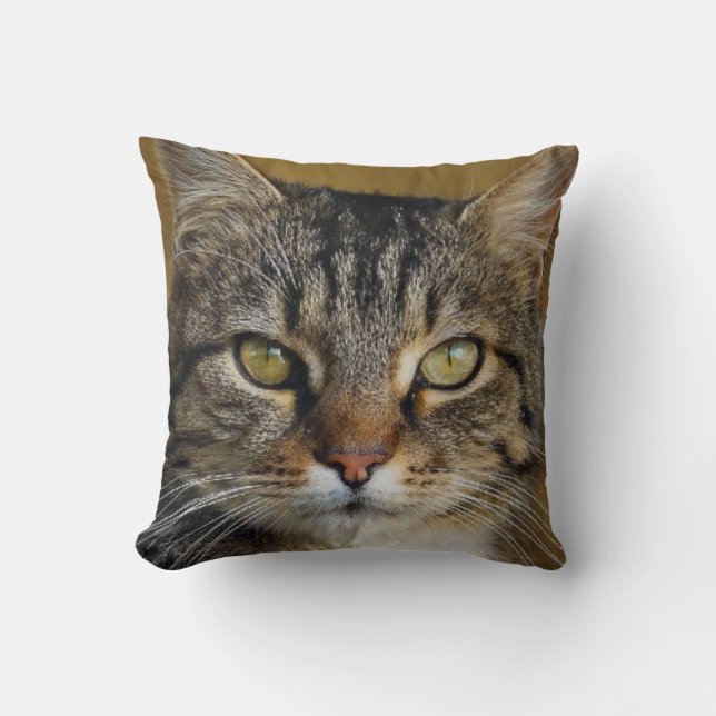 Grått tiger cat bild med mörk bakgrund kudde (Framsida)