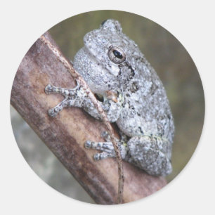 Grått Träd Frog Sticker Runt Klistermärke
