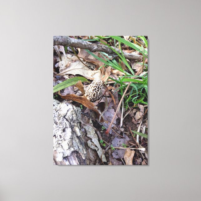 Grått Vår Morel på Canvas (Framsida)