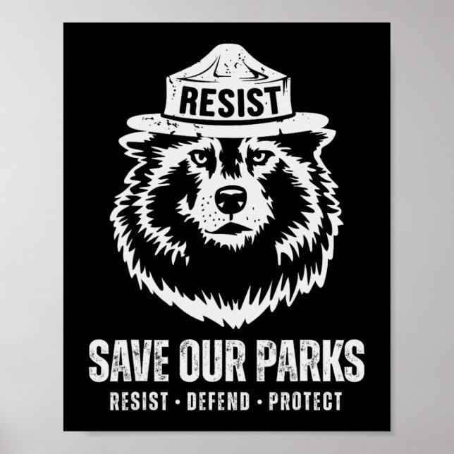 Grått Varg Bear Resistent Protection National Park Poster (Framsidan)