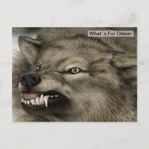 Grått-Varg, dagtid Vykort
