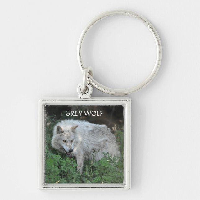 GRÅTT VARG Design Wildlife Art Nyckel-Ring Fyrkantig Silverfärgad Nyckelring (Framsidan)