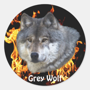 GRÅTT VARG & FOREST BRRE Wildlife Supporter Runt Klistermärke