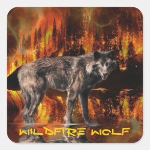 Grått Varg & Forest Fire Survival Wildlife Art Fyrkantigt Klistermärke