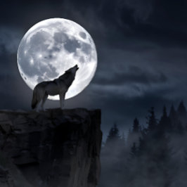 Grått Varg Full Moon Silhouette Pussel