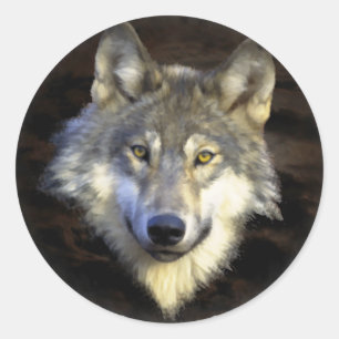 Grått Varg Head Nature Hund Animal Art Art Runt Klistermärke
