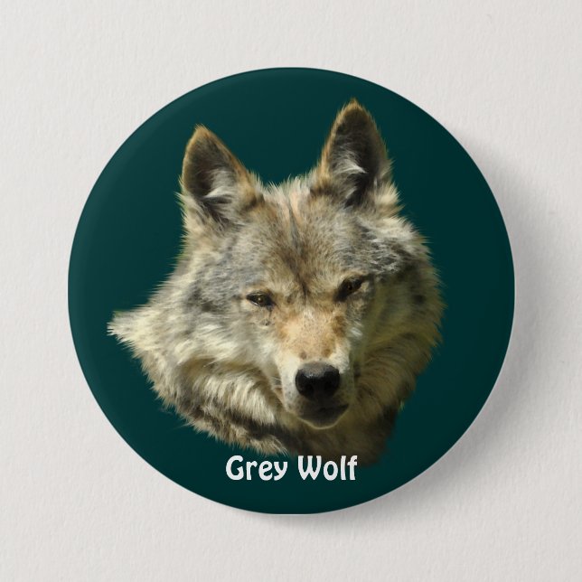 Grått Varg Head Wildlife-älskare Collector Badge Knapp (Framsida)