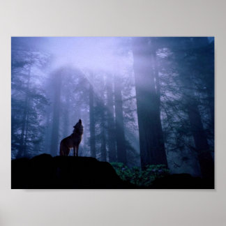Grått Varg Howling at Dawn Poster