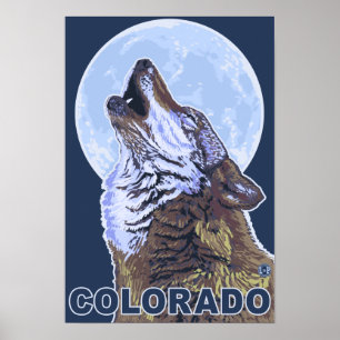 Grått Varg HowlingColorado Poster