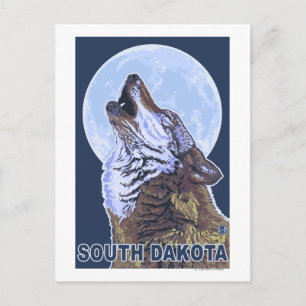 Grått Varg HowlingSouth Dakota Vykort