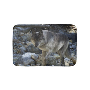 Grått Varg Hunting in a Dry River Bed Badrumsmatta