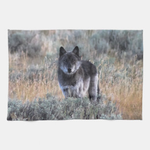 Grått-Varg i Yellowstone Kökstorn Kökshandduk