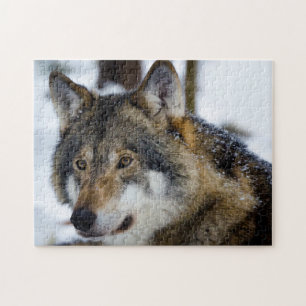 Grått Varg, Jigszle Puzzle Pussel