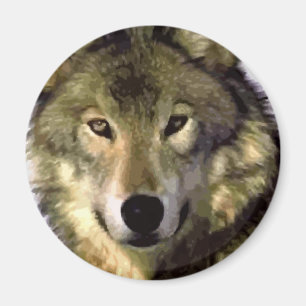 Grått Varg Magnet