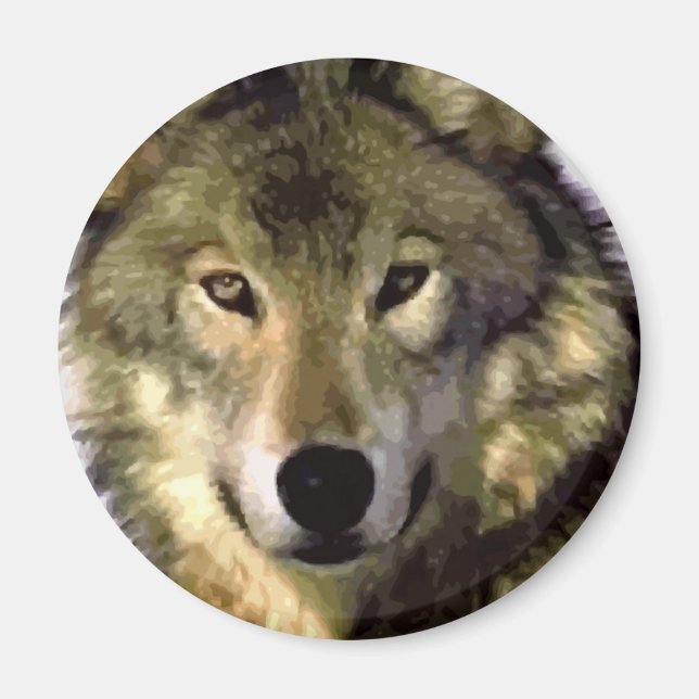 Grått Varg Magnet (Framsidan)