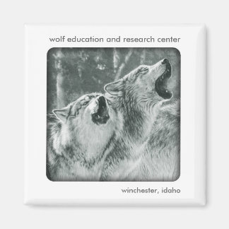 Grått Varg Magnet