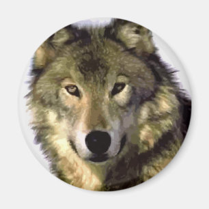 Grått Varg Magnet