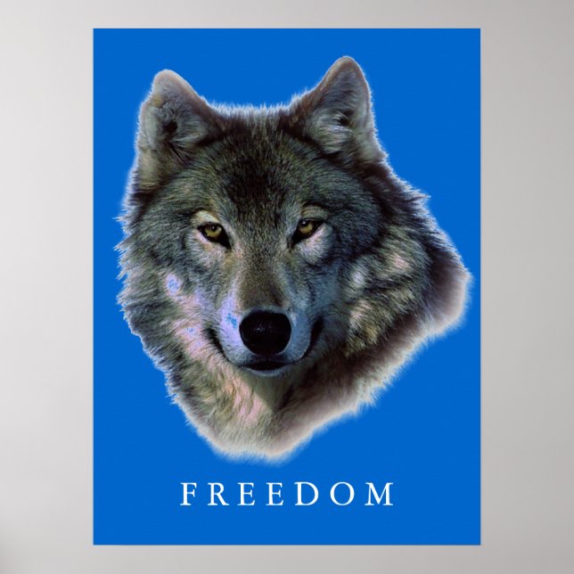 Grått Varg Motivational Freedom Poster Skriv ut (Framsidan)