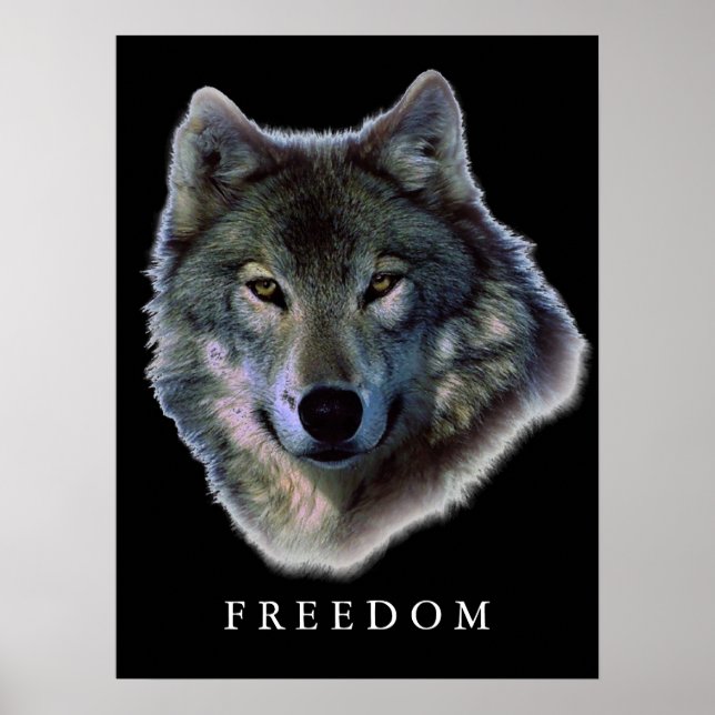Grått Varg Motivational Freedom Poster Skriv ut (Framsidan)