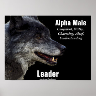 Grått Varg Motivering Poster
