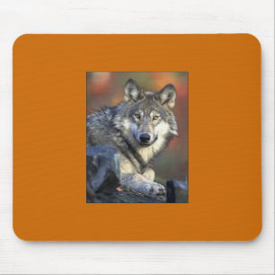 Grått Varg Mousepad Musmatta