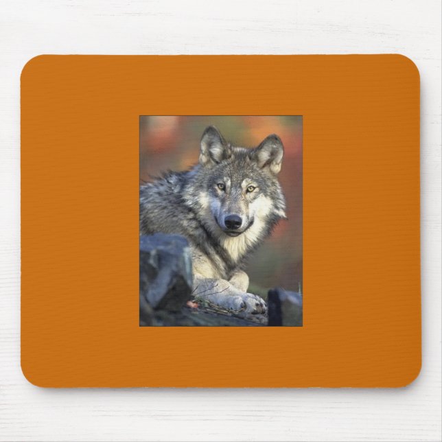 Grått Varg Mousepad Musmatta (Framsidan)