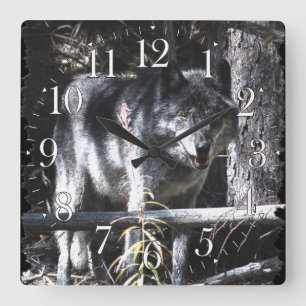 Grått Varg och Forest Photo Clock Fyrkantig Klocka