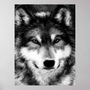 Grått Varg Öga Motivering Poster Skriv ut