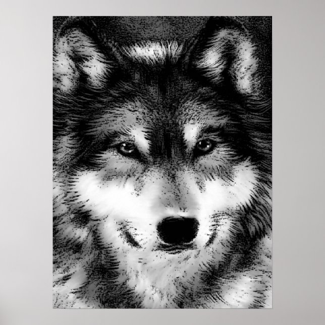 Grått Varg Öga Motivering Poster Skriv ut (Framsidan)