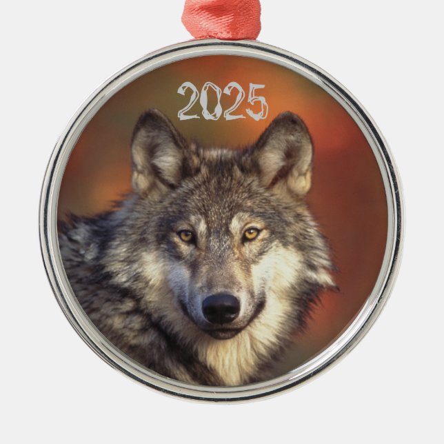Grått Varg Ornament (Framsidan)