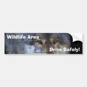 Grått Varg Road Safety Bumper Sticker Bildekal