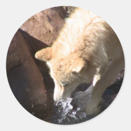 Grått Varg Runt Klistermärke