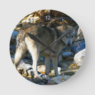 Grått Varg & Stony Bäck Photo Clock Rund Klocka