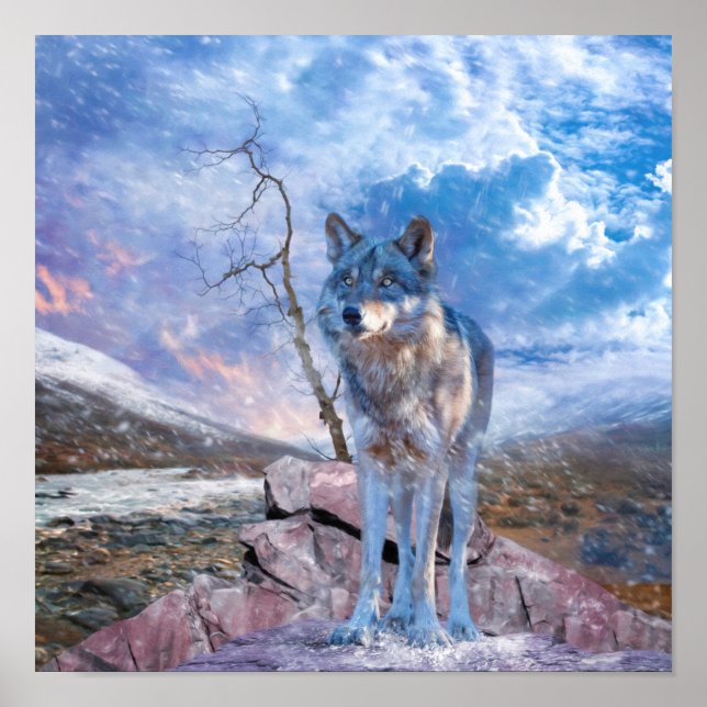 GRÅTT VARG SVARAR PÅ SAMTAL POSTER (Framsidan)