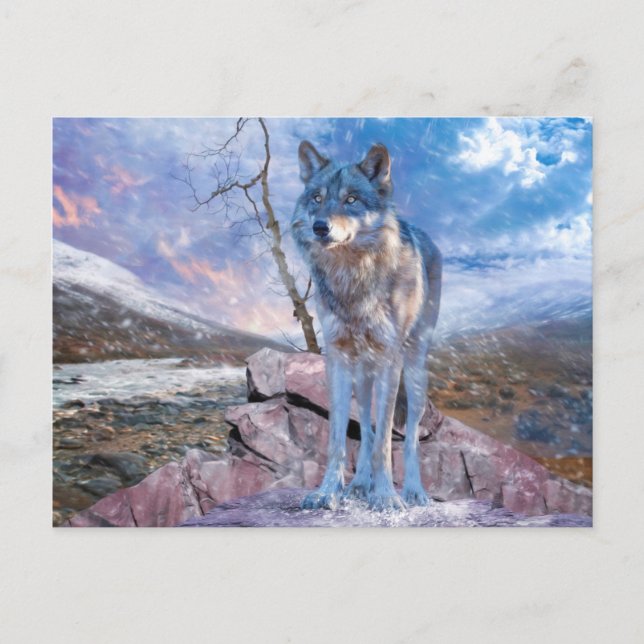 GRÅTT VARG SVARAR PÅ SAMTAL VYKORT (Framsida)