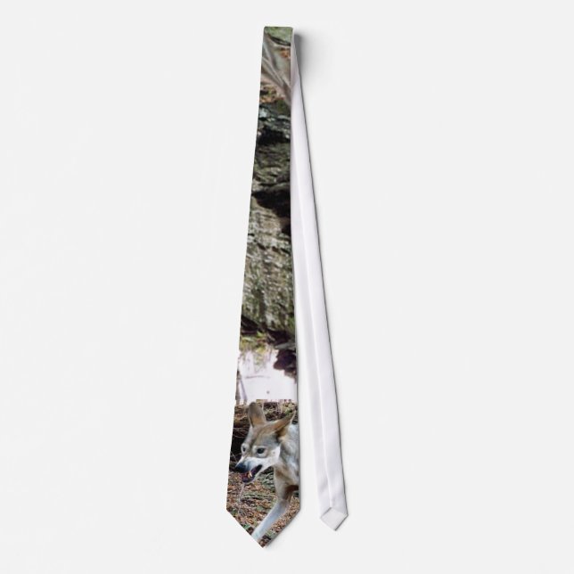 Grått Varg - Timber Varg - Red Varg Series Slips (Framsida)