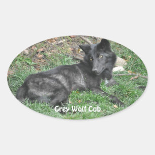 GRÅTT VARG UNGE Wildlife Supporter Stickers Ovalt Klistermärke