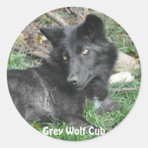 GRÅTT VARG UNGE Wildlife Supporter Stickers Runt Klistermärke