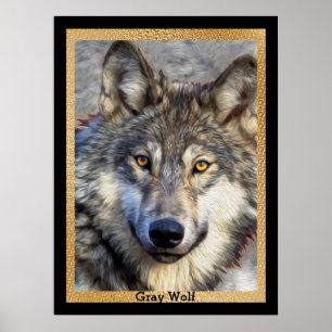 Grått Varg-värdighet Poster