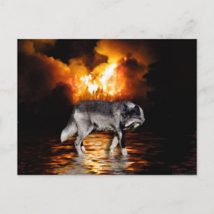 Grått Varg-vykort Vykort