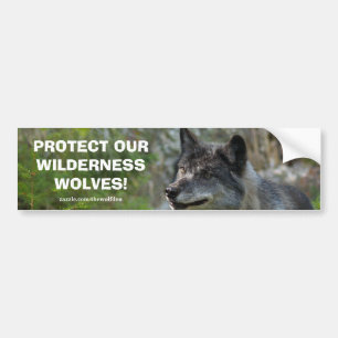 Grått Varg Wildlife Conservation Bumper-dekal Bildekal