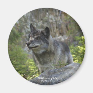 Grått Varg Wildlife Photography Magnet