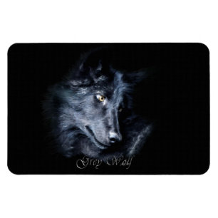 Grått Varg Wildlife Porträtt på ett Flexi Magnet