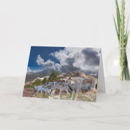 Grått Vargars Family Journey Kort