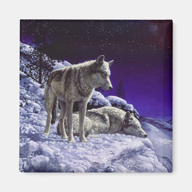 Grått-Varger i Winter Snö på natten Magnet (Framsidan)